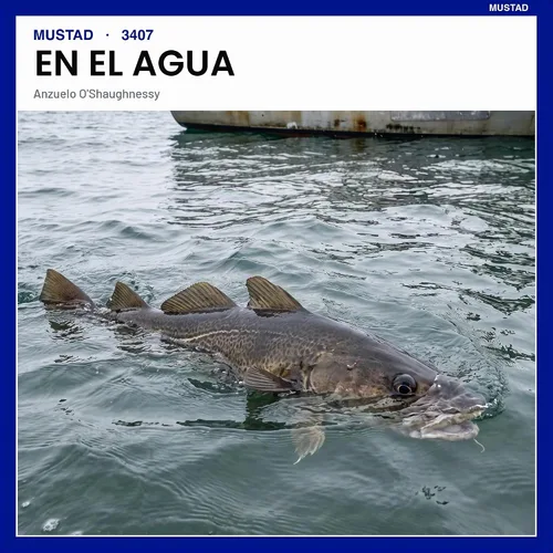 Vista 7 de Mustad 3407 Classic O'Shaughnessy - Gancho forjado, MVL-V1, Duratin