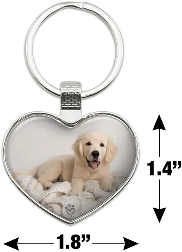 Vista 6 de GRAPHICS & MORE Golden Retriever - Llavero de metal con diseño de corazón y manta, Cromado