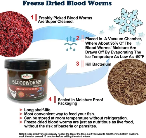 Vista 3 de Amzey Blood Worms 0.35oz - Gusanos de sangre liofilizados 100% naturales - Alimento para peces de acuario - Alimento alto en proteínas para peces
