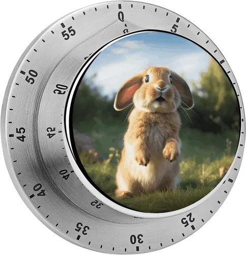 Vista 15 de African Woman Kitchen Timer 60 Minute Visual Wind Up Timer Indoor Mechanical Timers with Magnetic Base Stainless Steel Timers for Home Cooking Time