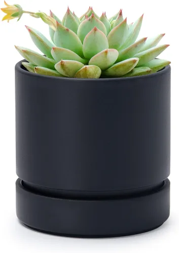 Vista 29 de Phoenix Vine 4 Inch Planter Pot with Drainage Hole & Saucer, Deep Water Catch Tray, Straight Cylindrical Round Pot for Plants, Olive, Pack of 1