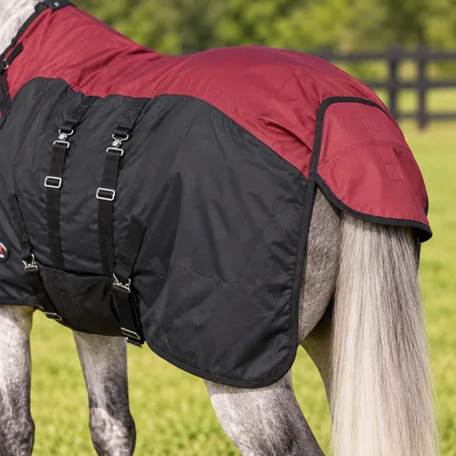 Vista 4 de CHALLENGER 1200D Horse Turnout Waterproof Heavy Weight Winter Blanket Borgoña/ Negro