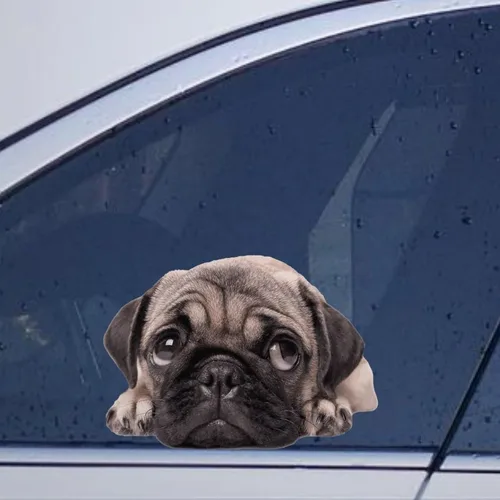 Vista 39 de Calcomanías de perro caniche, divertidas calcomanías de vinilo troqueladas para automóvil, laptop, parachoques Estilo-37