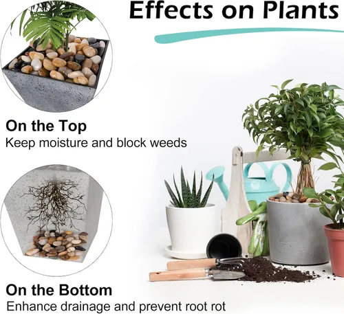 Vista 4 de GASPRO Rocas de río naturales de 8 libras para paisajismo, rocas decorativas para plantas en macetas y acuarios, piedras de río pulidas