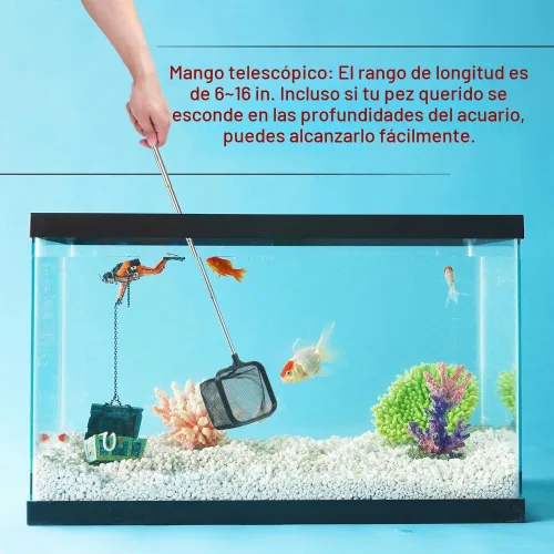 Vista 6 de DaToo Red de peces de acuario de 3 pulgadas para tanque de peces Betta Nano Nylon Net con mango extensible 6-16 pulgadas, 1 año de garantía