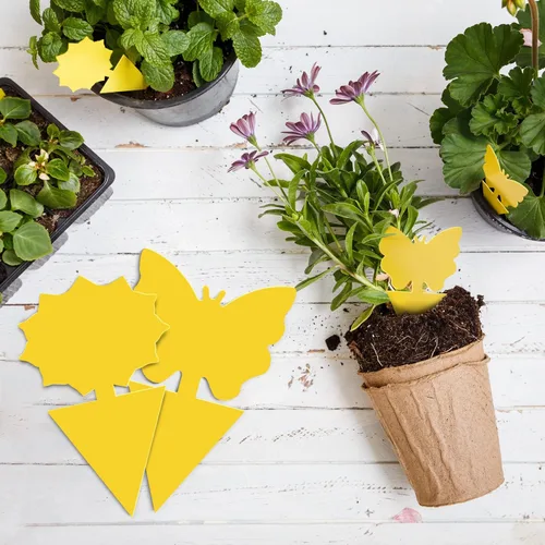 Vista 9 de Landisun Trampas para moscas de fruta, 48 unidades, trampas para mosquitos de hongos para interiores y exteriores, trampas adhesivas para moscas
