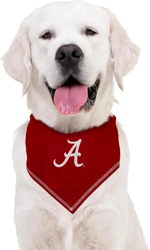 Vista 4 de NCAA Alabama Crimson Tide - Bandana con corbata, pequeña/mediana. Bandana para perro, babero para mascotas, gatos, perros, el mejor día del juego