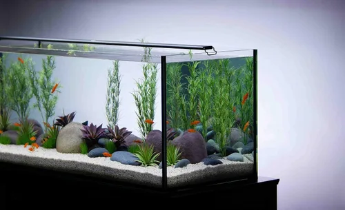 Vista 6 de Satélite de agua para acuario con luz LED