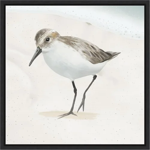 Vista 13 de Amanti Art Framed Canvas Wall Art 16x16 Sandpiper on the Beach II by Lucca Sheppard, Framed Wall Art Canvas, Animals Artwork, Modern Decor, Small