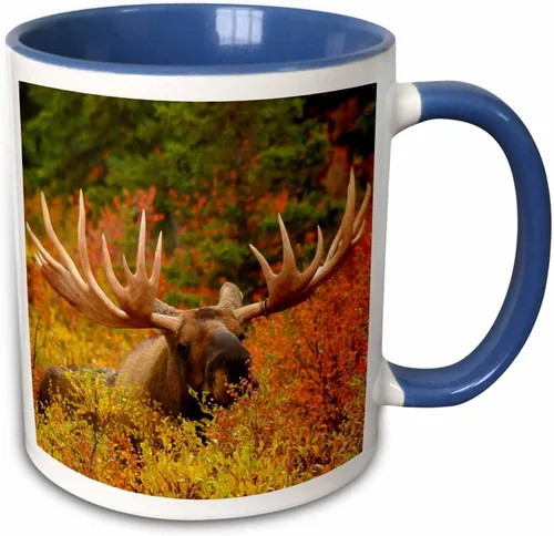 Vista 12 de 3dRose 142049_4 - Taza, 11 onzas, color negro
