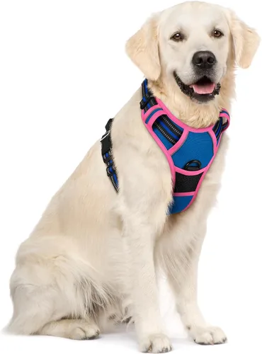 Vista 101 de Rabbitgoo - Arnés para perros sin tirón con 2 clips de correa, chaleco Oxford reflectante acolchado suave ajustable sin estrangulamiento
