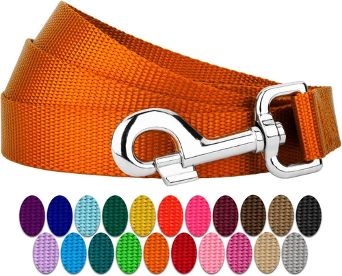 Vista 8 de Country Brook Petz - Correa para perro de nailon duradera de estilo tradicional de 1 pulgada con broche fácil de usar para razas pequeñas, medianas