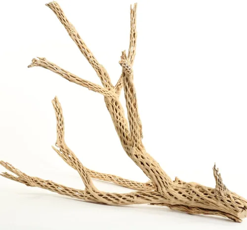 Vista 12 de Koyal Wholesale Ramas de acuario de madera de cholla natural, decoración de plantas de aire, perca de reptil, pieza de madera de cholla sin tratar