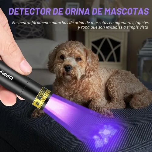 Vista 4 de DARKBEAM Linterna UV Luz Negra 395 NM, Mini pero Potente USB-C LED Recargable Lámpara de Madera, Linternas Ultravioleta para Detección de Orina