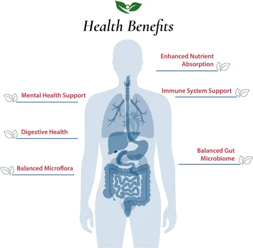Vista 4 de Foods For Gut Lactobacillus Plantarum Probiotic Powder 400 mil millones de ufc Fabricado en Estados Unidos Sin aditivos Directo