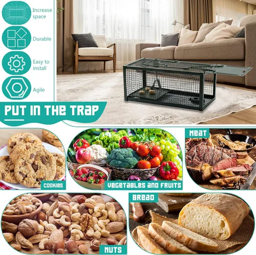 Vista 3 de Qualirey Trampa para ratas vivas, 2 unidades, trampa humana para ratones, ratones, jaula para animales pequeños, para interiores y exteriores, Verde