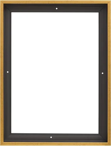 Vista 2 de Pixy Canvas Marco flotante de 22 x 28 pulgadas para pinturas de lienzo de 1.5 pulgadas de profundidad, paneles de madera y tableros de lienzo Oro