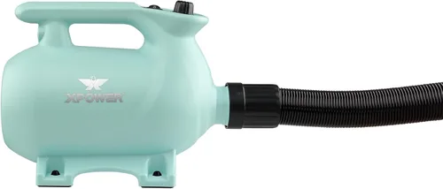 Vista 2 de XPOWER B-123 - Secador de pelo para perros con control de velocidad y temperatura ajustable, secador de pelo para mascotas con 3 boquillas