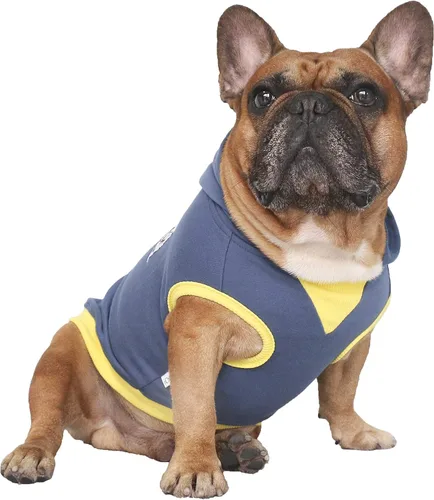 Vista 6 de iChoue - Disfraces para perros, I am a French Bulldog, suéteres divertidos, abrigos de invierno, sudaderas con capucha, Frenchie Pitbull Corgi, Pug