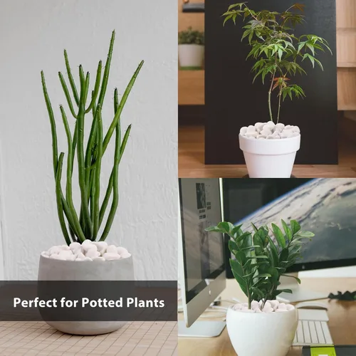 Vista 3 de 5 libras de piedras de río blancas como la nieve - Piedras decorativas - Guijarros para plantas de interior - Piedras para paisajismo al aire libre