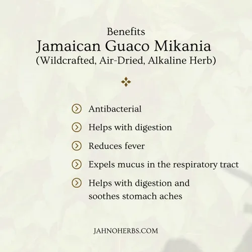 Vista 2 de Jamaican Guaco Mikania (elaborada en vacio, secado al aire, hierba alcalina)