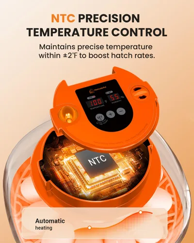 Vista 3 de Incubadora de 12 huevos con giro automático y control de humedad, incubadoras completamente automáticas con vela de huevos, kit educativo