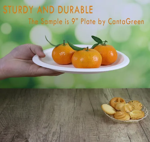 Vista 2 de CantaGreen Platos de postre pequeños compostables de 6 pulgadas, 100 platos de papel desechables biodegradables de caña de azúcar/bagazo y fibra