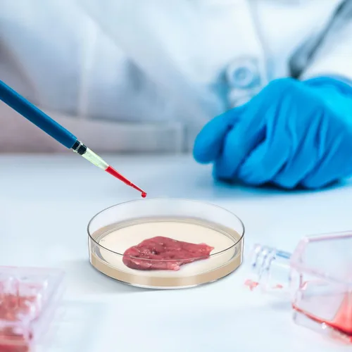 Vista 3 de Generic Placas de agar prevertidas, placas de agar nutrientes, placas de Petri con suministros de experimentos científicos para uso en el aula