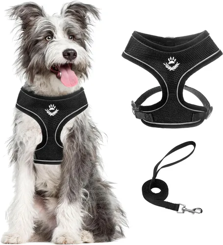 Vista 38 de PUPTECK Juego de arnés y correa de malla suave para perro, cachorro y gato, cómodo chaleco acolchado sin tirones, azul Pascua, S