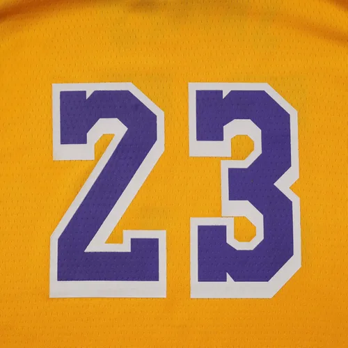 Vista 4 de ICOMPY #23 Basketball Jersey Outfit Tank Top Track Shorts Sets Sportswear Clothes Sweatabands Head Band Gift For Boys Youths