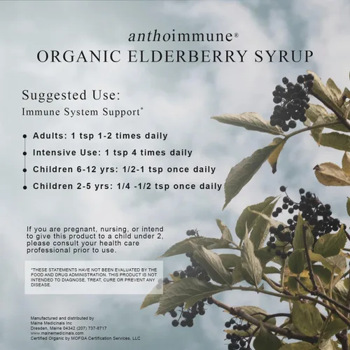 Vista 5 de Jarabe de saúco orgánico – Antoinmune – Suplemento de apoyo inmunológico para adultos y niños – USDA Organic, Fórmula de saúco negro ultra premium