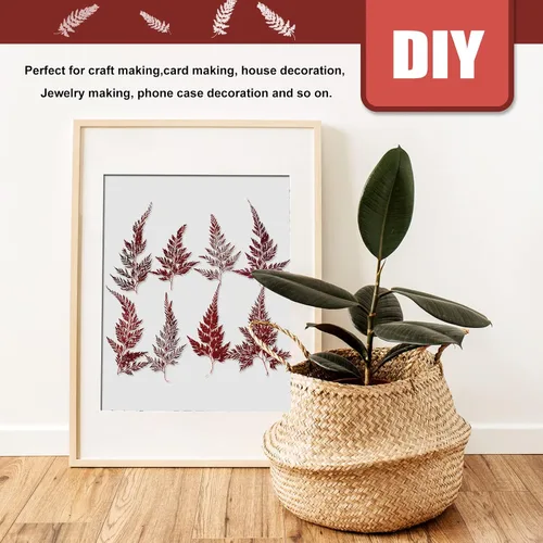 Vista 5 de ALJ Hojas de helechos secos, 42 hojas de helecho prensadas de color rojo natural, hojas prensadas para plantas reales para arte de resina
