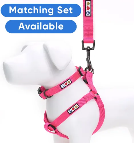 Vista 6 de Pawtitas - Correa personalizada de 6 pies para perro rosa XS/S con nombre y número de teléfono bordados, correa fuerte de nylon para razas pequeñas