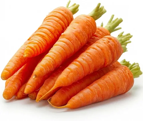 Vista 72 de 50 Hale's Best Cantaloupe Seeds for Planting - Sweet Aromatic Heirloom, Non-GMO, USA Grown by RDR Seeds