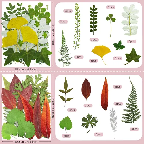 Vista 5 de 92 hojas de flores secas prensadas para moldes de resina, manualidades de bricolaje