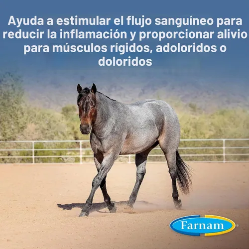 Vista 2 de Farnam Linimento de caballo Vetrolin para dolor muscular, rigidez y alivio