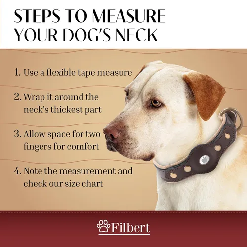Vista 4 de Filbert Collar de cuero para perro con soporte para Airtag, collar de perro seguro mejorado, collar de cuero para perros medianos, collar de perro