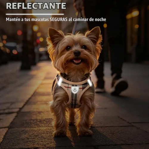 Vista 7 de PUPTECK - Arnés, collar y correa ajustables, sin tirones, para perros pequeños y medianos, cachorros y gatos, pechera reflectante acolchada de malla