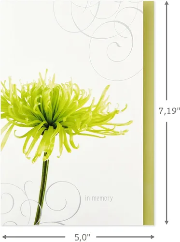 Vista 2 de Hallmark - Tarjetas de condolencia surtidas (flores, 12 tarjetas y sobres)