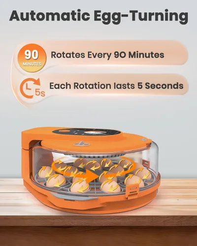 Vista 8 de Incubadora de 15 huevos con recarga lateral de agua, control automático de humedad, girador automático de huevos, temperatura ajustable, vela