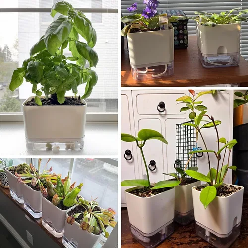 Vista 9 de Planterhoma Macetas de riego automático para plantas de interior de 4.3 pulgadas, 6 paquetes de macetas cuadradas de riego automático con orificio