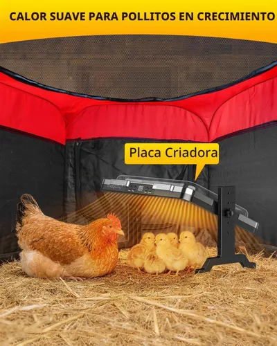 Vista 6 de Magicfly Placa de crianza para pollitos, calentador radiante inteligente