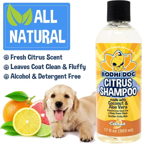 Vista 4 de Bodhi Dog Champú refrescante de cítricos de naranja – Fórmula de coco y aloe de limpieza profunda – Lavado natural calmante e hidratante