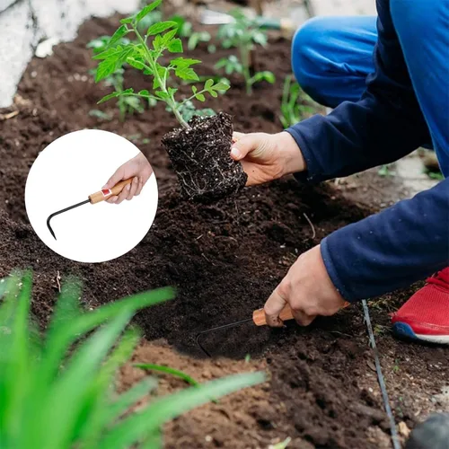 Vista 6 de Escardadora, herramienta de deshierbe de jardín de metal con mango de madera, mini extractor de malezas cultivador para excavar bordes plantación