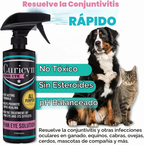 Vista 2 de Curicyn Pink Eye Solution – 16 onzas, fórmula extra fuerte para conjuntivitis, gotas oculares para perros, gatos, ganado y caballos, sin dolor,