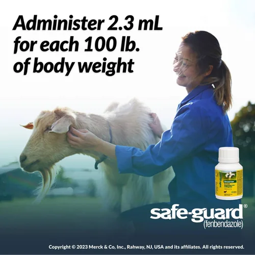 Vista 4 de Líquido antiparásitos Safe-Guard (fenbendazol), 4.2 fl oz