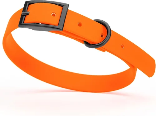 Vista 107 de Dogline Biothane - Collar impermeable para perro con hebilla de liberación rápida, resistente cincha de nailon recubierta con resistente y a prueba