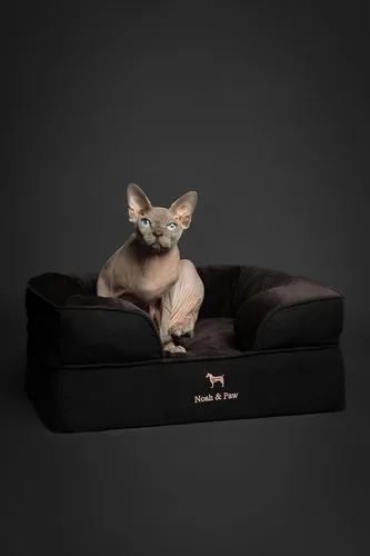 Vista 3 de NOAH & PAW Cama para perros pequeños, 20 x 15 x 8 pulgadas, cama para gatos de interior, espuma viscoelástica ortopédica de cáscara de huevo