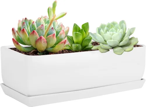 Vista 15 de Vencer Maceta rectangular moderna minimalista de cerámica para suculentas de 12 pulgadas, caja con ventana con platillo, soporte de escritorio