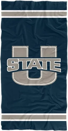 Vista 159 de LOGOVISION Manta Abilene Christian University, 30 x 60 pulgadas, logotipo primario CottonFront/PolyBackBeachTowel